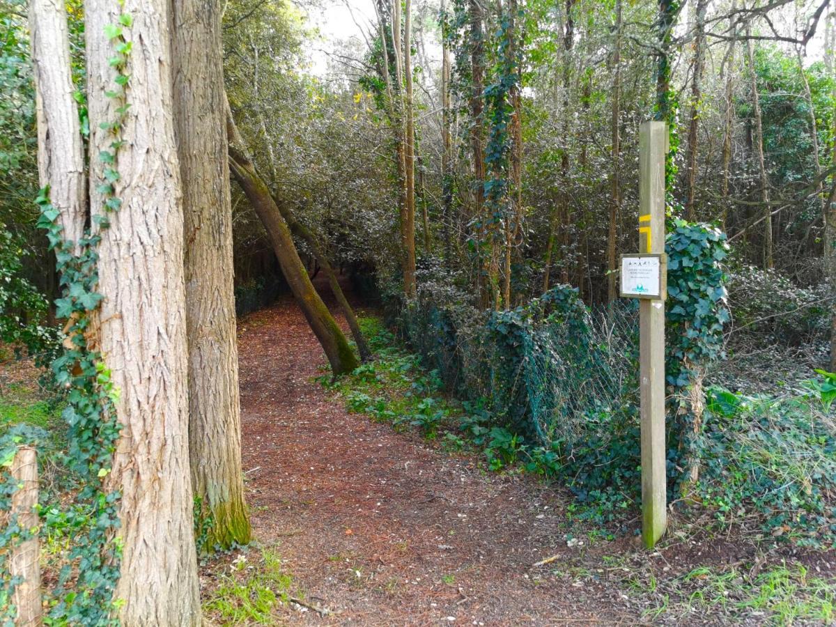 Le Pierani - A 90M De La Mer Saint-Hilaire-de-Talmont Extérieur photo